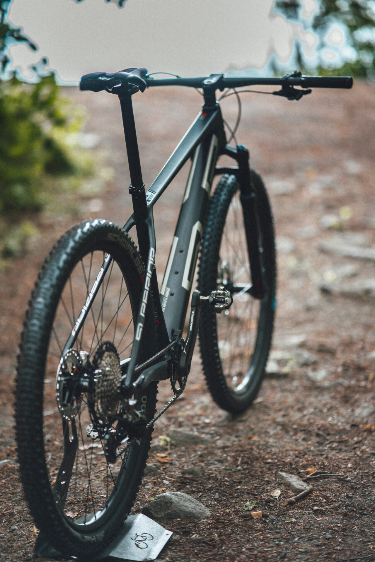 MTB - Intwiel
